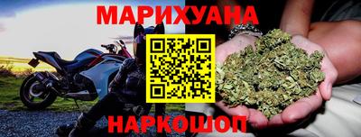 сатива Кандалакша