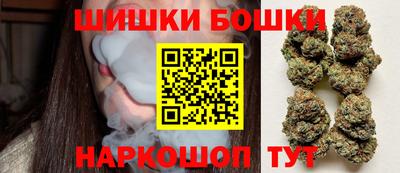 бошки Камышлов