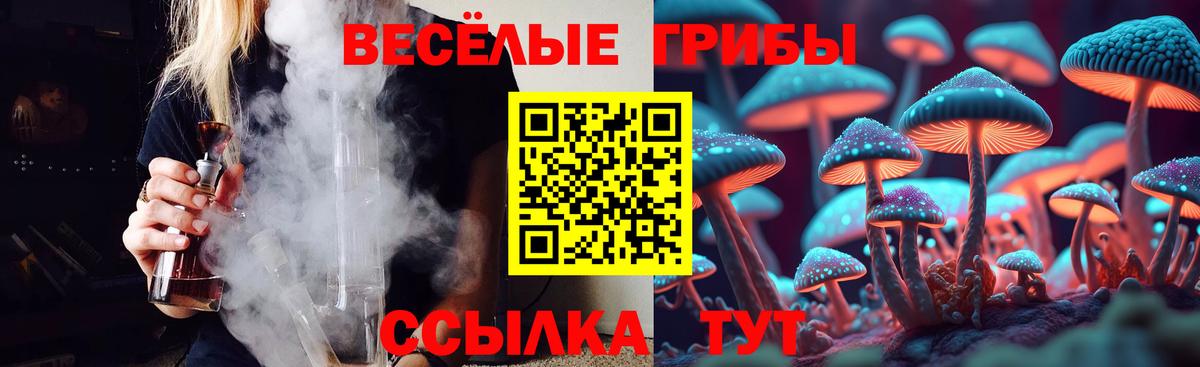 Галлюциногенные грибы Magic Shrooms  Псилоцибиновые грибы прущие грибы  Вход с VPN  Краснознаменск 