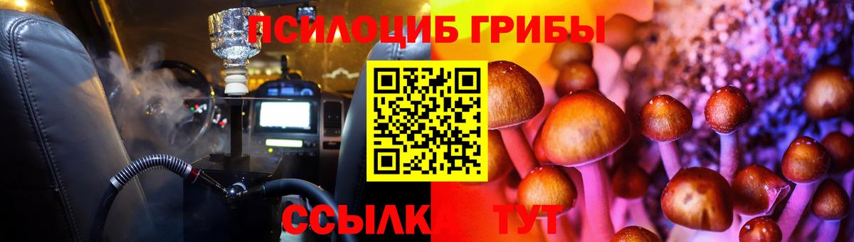 Псилоцибиновые грибы Cubensis Краснознаменск